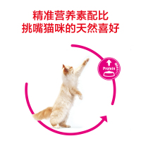 ROYAL CANIN 皇家猫粮 EP42全能优选成猫猫粮 全价粮-肠道舒适型 2kg 蛋白质喜好 呵护消化健康