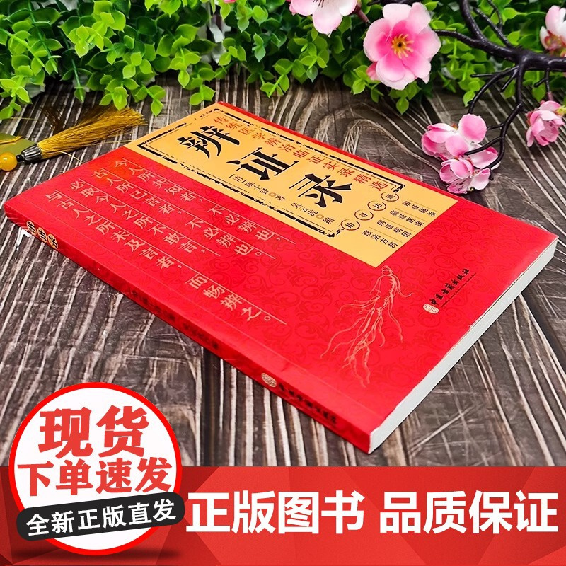 辨证录 传统医学辨证临证实录精选