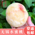 【顺丰空运】正宗江苏无锡水蜜桃 阳山镇老蔡桃庄 单果5.5-6两6只 品尝装 可撕皮滴水软桃 新鲜水果 桃子 日川 京红