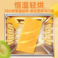 华味亨芒果梅片160g罐装话梅果脯零食芒果干