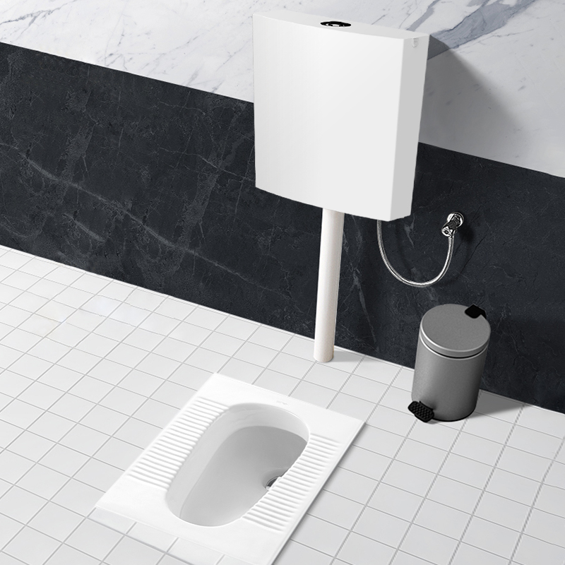 东鹏卫浴(dongpeng)蹲便器套装 卫生间防臭蹲坑蹲厕陶瓷大便池家用堵