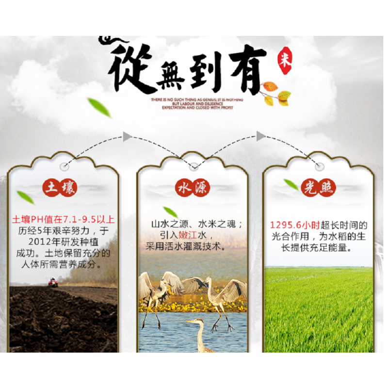 绿佑 碱地香米 大米 5kg