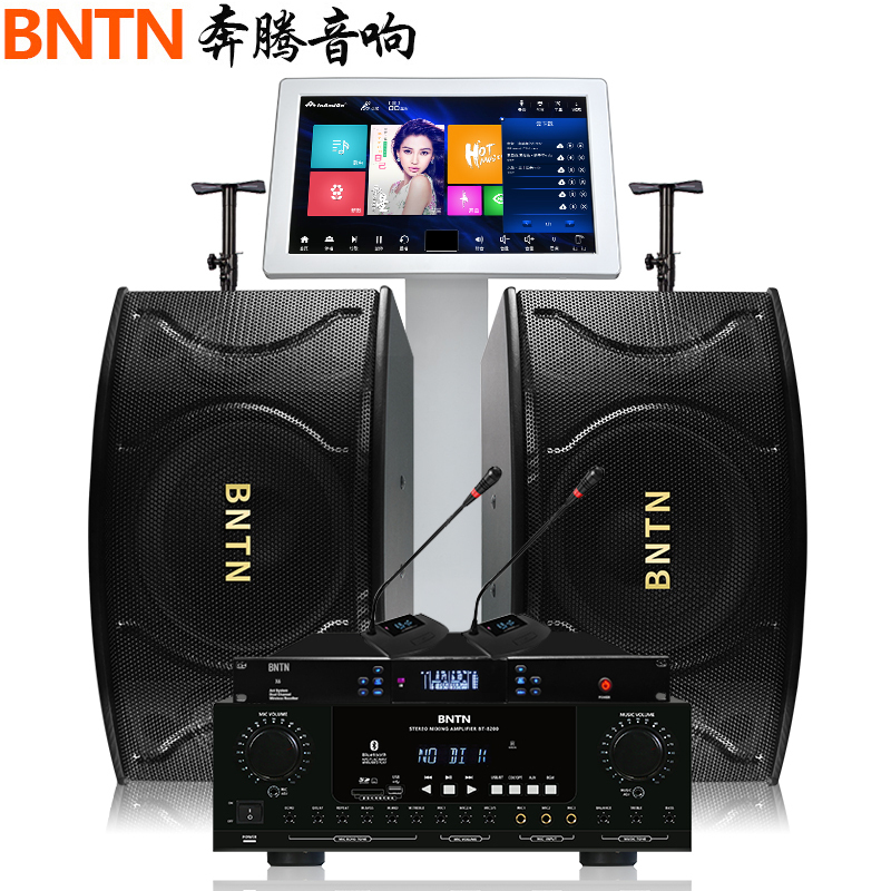 奔腾(BNTN)家庭影院KTV音响专业会议鹅颈话筒全套 点歌机触摸屏 家用语音智能点歌机蓝牙卡包音箱卡拉BTK12套装