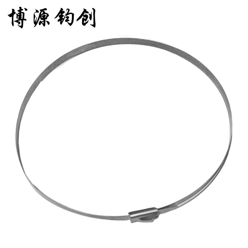 博源钧创 304不锈钢扎带 7.9*200MM 根高清大图