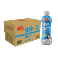 欢乐家 生榨椰子汁 植物蛋白饮料380ml*15瓶/箱 果肉椰汁饮料饮品