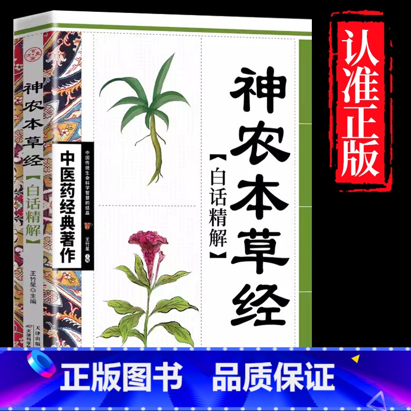 神农本草经 [正版]全4册中医书籍大全药王孙思邈+神医华佗+医祖扁鹊+医圣张仲景中医基础理论本草纲目黄帝内经中医四大名著高清大图