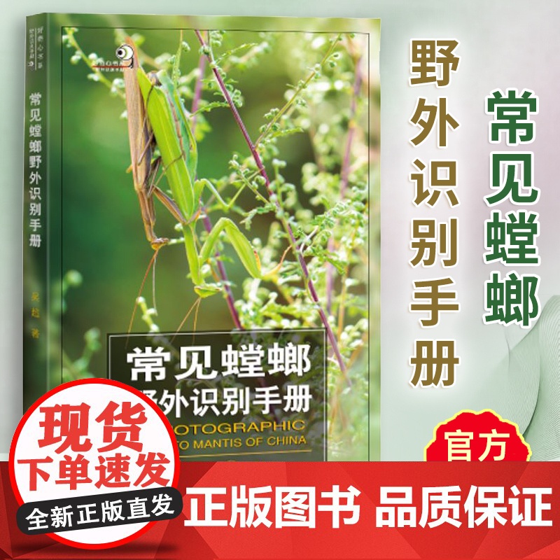 常见螳螂野外识别手册 好奇心书系 吴波 书中讲述对我国有分布的相对常见且有代表性的77种螳螂的形态特征生活习性 重庆大学高清大图