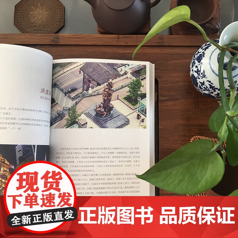 重庆 这座城 藏羚羊旅行指南编辑部 著 旅游地图高清大图