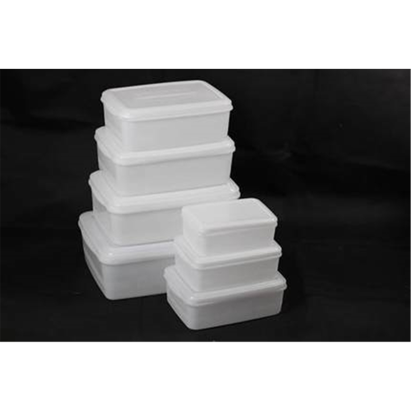 茶花保鲜盒190-B 冰箱收纳盒蔬菜水果食品储物盒