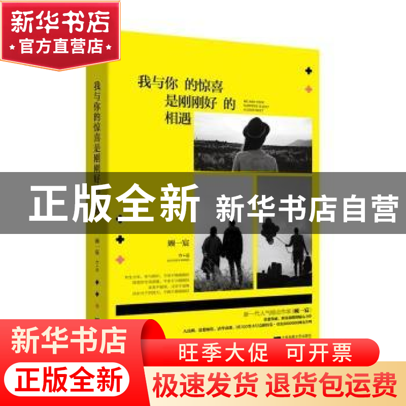 正版 我与你的惊喜,是刚刚好的相遇 顾一宸【著】 江苏凤凰文艺出