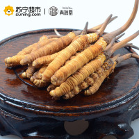 青源堂 冬虫夏草 0.7克/条 40条装28克 新鲜冬虫夏草青海玉树高海拔雪山虫草正品 可泡酒泡水