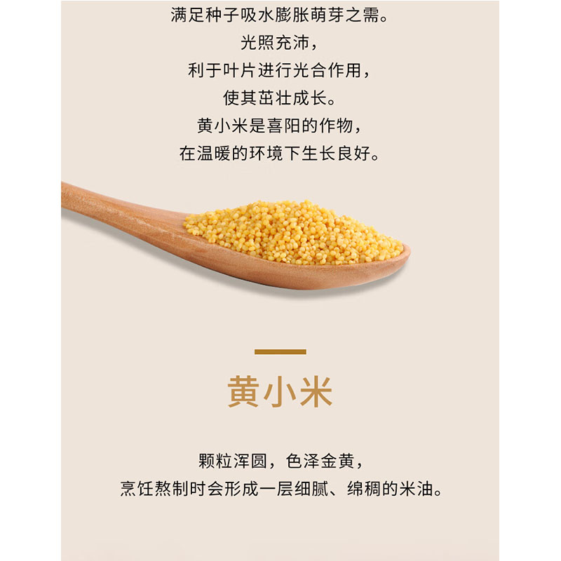 十月稻田 内蒙古黄小米 500g高清大图