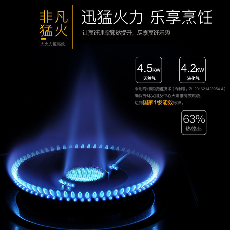 Fardior/法迪欧燃气灶JZY-2G15 不锈钢面板 台嵌两用 液化气 灶具 家用燃气灶高清大图