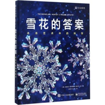 11雪花的答案:冰冻艺术中的科学978712132393522
