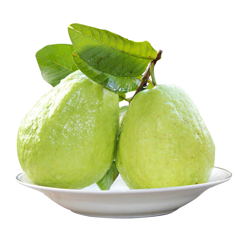 博多客福建漳州白心芭乐25kg新鲜台湾白心番石榴新鲜水果生鲜新鲜