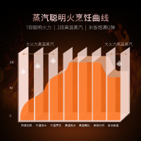 苏泊尔(SUPOR)电饭煲CFXB40HC29-166 4L不粘涂层内胆 预约功能;排水槽 IH电磁加热 多功能电饭锅