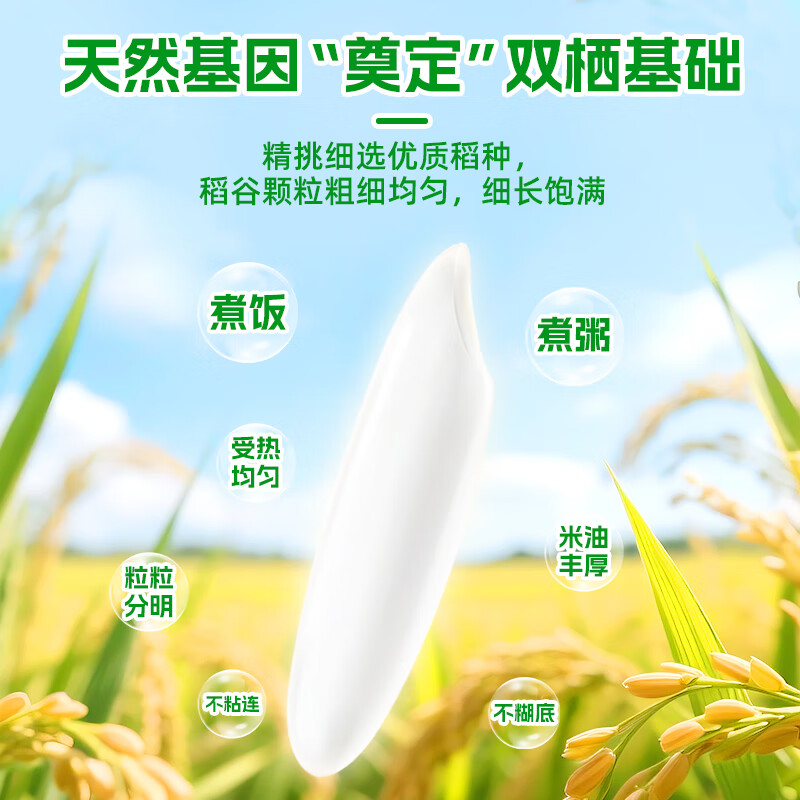 挂绿增城丝苗米10斤 国家地标认证(当季新米)增城特产南方籼米高清大图