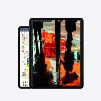 2020年新款 苹果/Apple iPad Pro 11英寸第二代 平板电脑 (1TB WLAN版/全面屏/A12Z/Face ID/MXDH2CH/A) 银色 支持手写笔