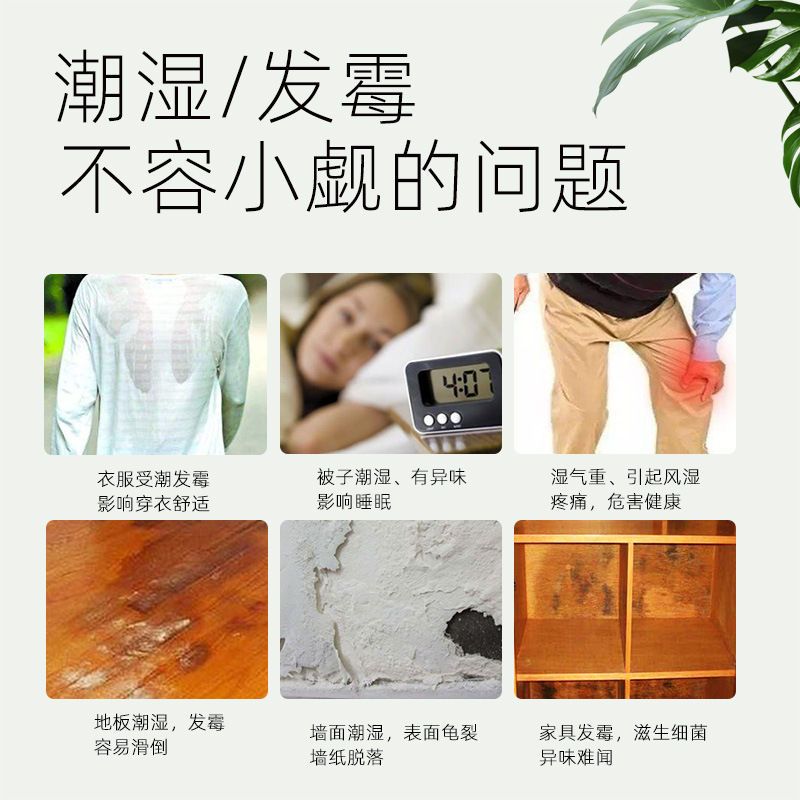 去霉味神器房间除味剂室内宿舍学生吸湿祛除霉味卧室去潮湿清除剂|一盒装（抽屉专用）