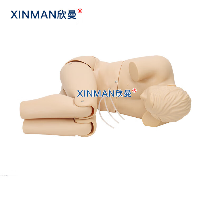 欣曼科教 腰椎穿刺模拟人 教学用腰椎穿刺训练模型XM-YC02高清大图