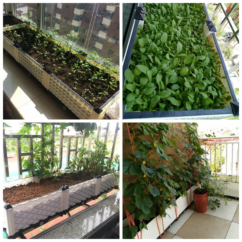 美帮汇加厚种菜盆阳台楼顶种花箱塑料花盆特大种植箱花新料种菜箱子高清大图