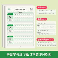 绿彩虹光拼音练字帖儿童幼小衔接学前班汉语拼音描红本3-6岁幼儿园大班练习册全套点阵数字字母一年级拼音拼读专项训练 拼音(