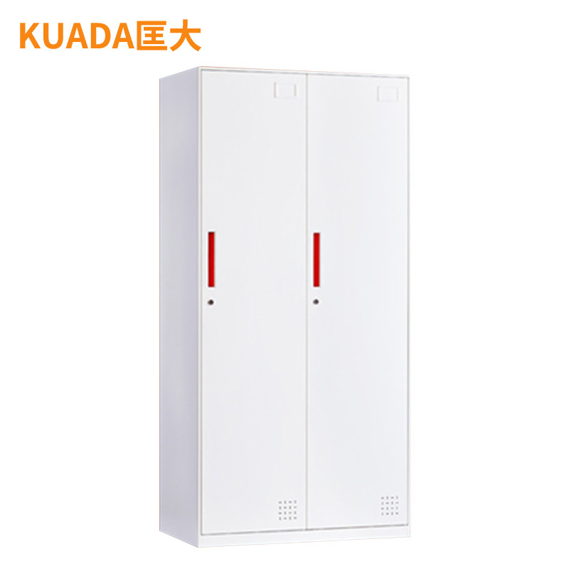 匡大 办公柜0.9米钢制铁皮储物柜2门更衣柜KD-G1009