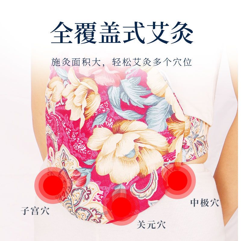 九档控温+礼盒+2药芯(中国红) 舒娅阁香身艾宝温灸器升级版艾灸宝电加热祛湿暖宫护腰家用热敷包