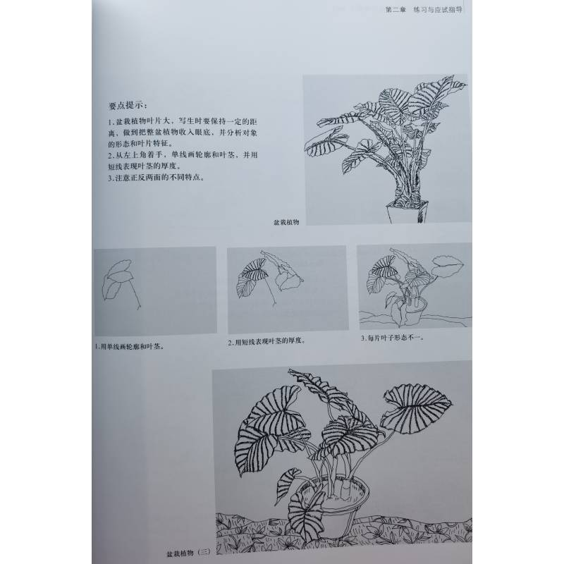 醉染图书速写考级 4~6级9787547903612高清大图