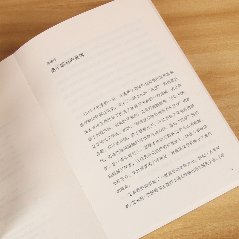 [正版]我歌唱夜色将尽(艾米莉·勃朗特抒情诗选)高清大图