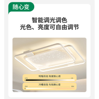 雷士照明新款舒适光大瓦数北欧星空灯客厅主灯现代简约吸顶灯具全屋套餐灯具套餐