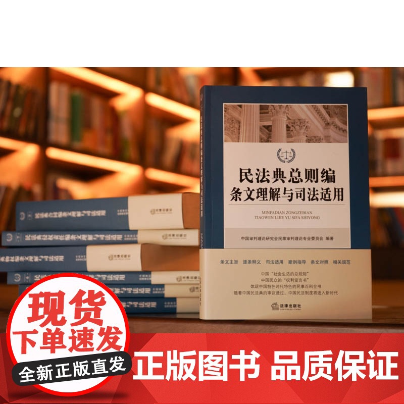 2022新版民法典条文理解与司法适用丛书7册七本总则编、物权编、合同编、人格权编、婚姻家庭继承编、侵权责任编民法典理解与高清大图