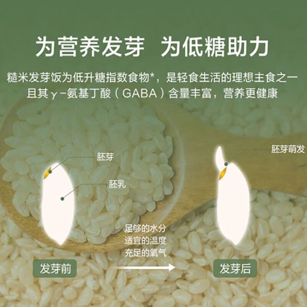 格力(GREE)大松家用低糖煲智能IH电饭煲电饭锅蒸米饭煲3-5人饭锅GDCF-3010C高清大图