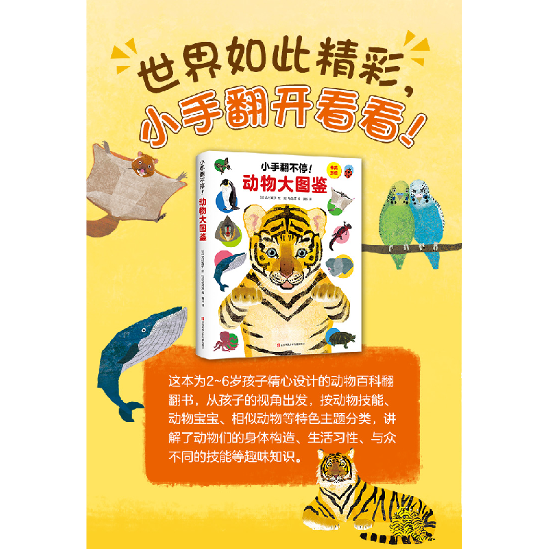 正版新书]小手翻不停! 动物大图鉴绘9787558414725高清大图