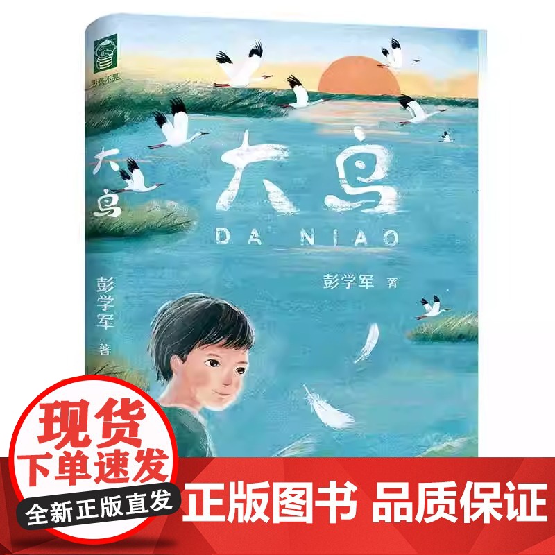 大鸟 男孩不哭组合 彭学军作品 7-14岁一二三四五六年级中小学生课外阅读校园成长小说 正版书籍 一本值得阅读的书籍高清大图
