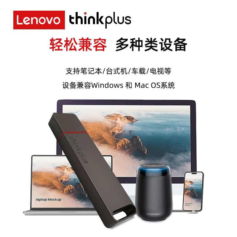 联想ThinkPlus 移动固态U盘 1000Mb/s USB3.2高速传输闪存U盘 TU100Pro 灰色 512GB高清大图