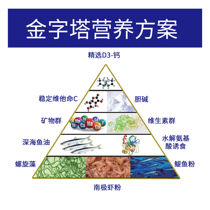 仟湖龙鱼饲料金龙鱼饲料专用鱼食红龙鱼银龙鱼鱼食g1 g2增色增艳高清大图