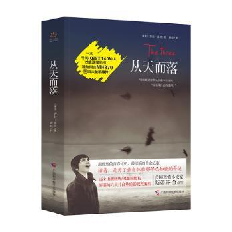 诺森从天而落(南非)莎拉·落茨著9787555103288广西科学技术出版社高清大图