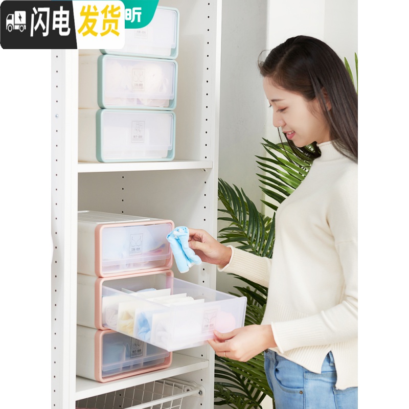 三维工匠内衣收纳盒文胸内裤袜子分格整理箱衣柜内抽屉式收纳三件套女高清大图