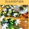 丙烯颜料套装墙绘丙烯画涂鸦球鞋石头画手绘颜料