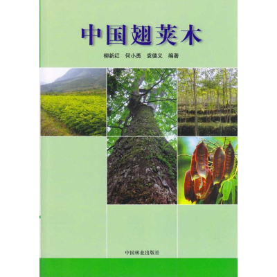 【M】中国翅荚木-9787503856877