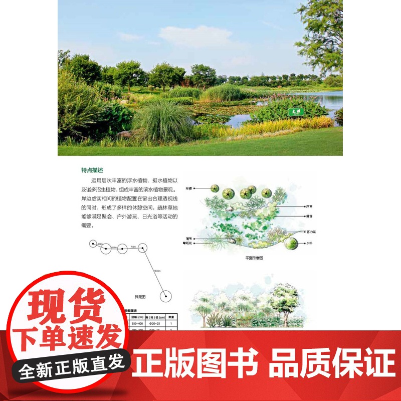 图解景观设计:100个经典植物配置 植物配置方案全解附手绘原图平立面图+株距图配置方案与数据实操深度解读方案高清大图