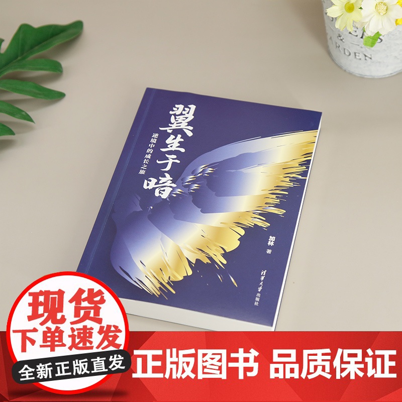 [正版新书] 翼生于暗 逆境中的成长之旅 加林 清华大学出版社 成长 心路历程 9787302681892高清大图