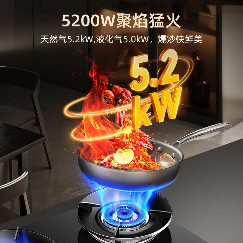 樱雪INSE燃气灶液化气 双灶具 家用5.0kW猛火灶灶台嵌两用 70%高热效 可调节底盘Q2高清大图