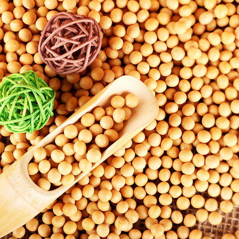 天地粮人 精品黄豆礼袋装(350g*5包 )高清大图