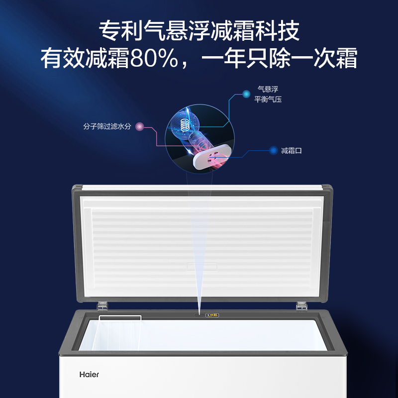 海尔(Haier)303升家商两用大冷冻柜 低霜大冻力 3D逆循环技术 制冷快匀透一体化无界设计