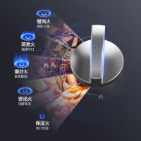 万和(Vanward) 一级能效 天然气灶具 煤气灶双眼灶 台式灶具嵌入式灶两用 燃气炉具自营 JZT-B6B338XW