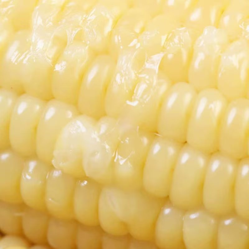 金翼 甜糯玉米200g*8根高清大图