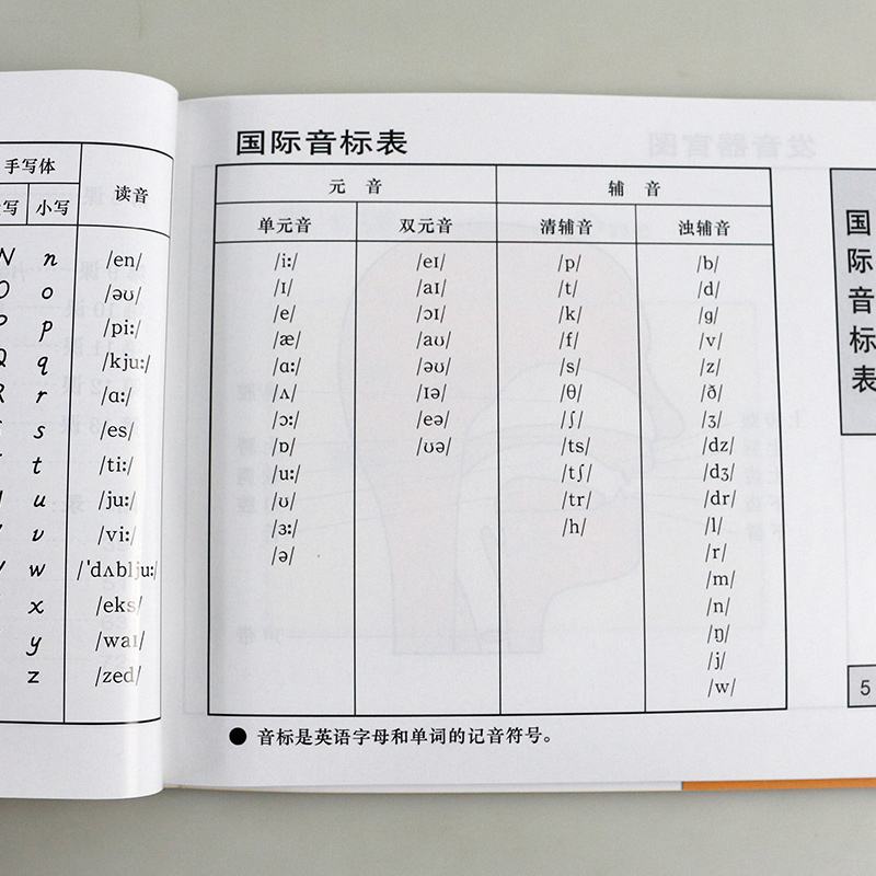 [友一个正版]小学英语国际音标入门 第14版 MP3光盘版 自学音标人教版 小学生英语发音英文音标口语少儿英语音标班培高清大图