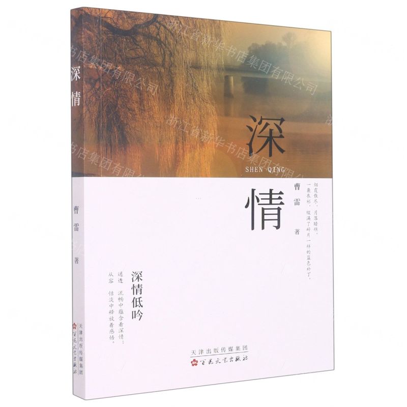 【N】深情-9787530683286